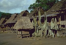 Ngada