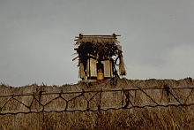 Ngada
