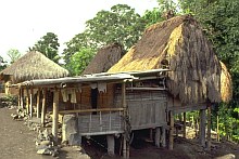 Ngada (Flores)