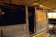 Ngada