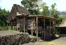Ngada