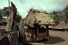 Ngada