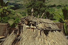 Ngada
