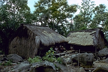 Ngada