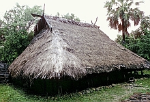 Roti