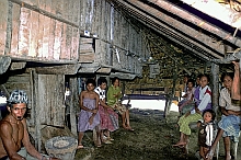Roti