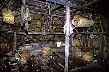 Roti