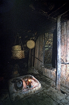 Roti