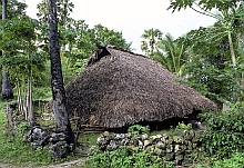 Roti