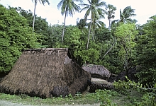 Roti