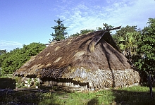 Roti