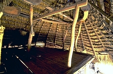 Savu