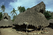 Savu