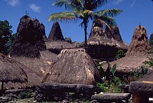 Sumba