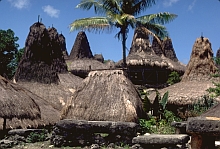 Sumba