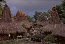 Sumba