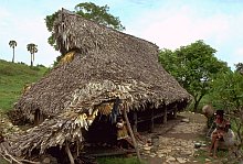 Savu
