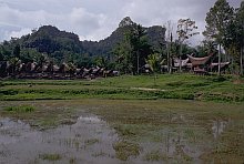 Toraja