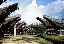 Sa'dan Toraja