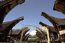 Toraja