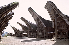 Toraja