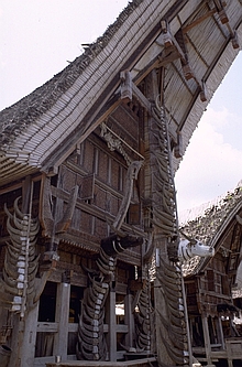 Toraja