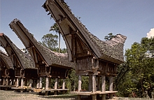 Toraja
