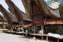 Toraja