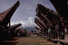 Toraja