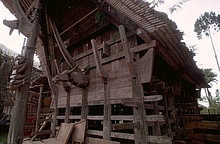 Toraja