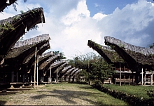 Toraja