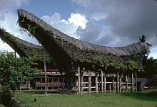Sa'dan Toraja