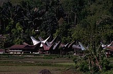 Toraja