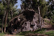 Toraja