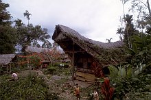 Toraja