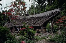 Toraja