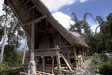 Toraja