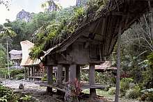 Toraja