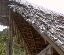 Sa'dan Toraja