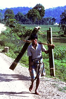 Sa'dan Toraja