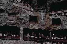 Toraja