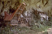 Toraja
