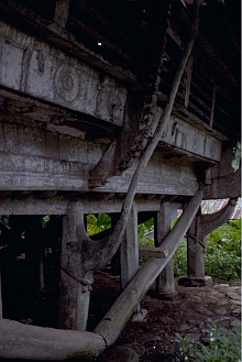 Central Nias