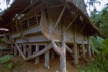Central Nias