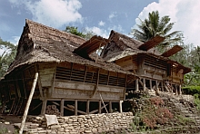 Central Nias