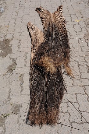 Karo Batak (Sumatra)