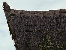 Karo Batak (Sumatra)
