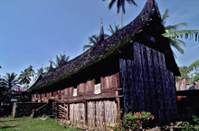 Minangkabau