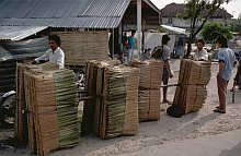 Nias