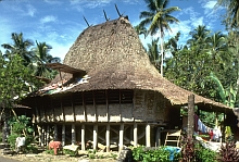 Nias